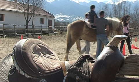 Лекуват деца с увреждания с конна езда - 1