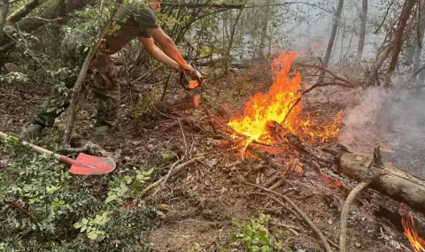 Пожар пламна в района на село Елешница, към момента са засегнати около 70 декара  - 1