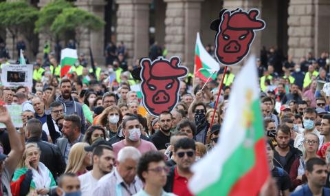 САЩ подкрепиха протестите в България - 1