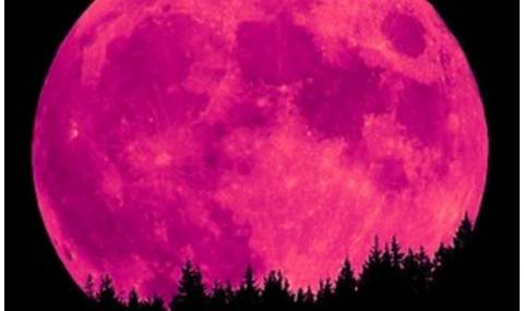 Розова Луна ще озари априлското небе - 1