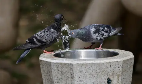 Водата в Плевен отговаря на изискванията за качество - 1