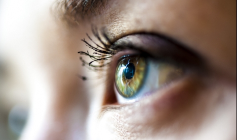 „Хормонът на любовта“ всъщност ни прави недоверчиви - 1