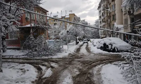 Глоби за около 120 000 лв. отнесоха фирми за некачественото почистване на София от снега  - 1