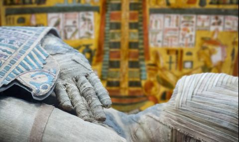 Откриха отлично запазено бебе в бременна мумия на 2000 години (СНИМКИ) - 1