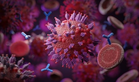 Омикрон може да е възникнал при пациенти с ХИВ - 1