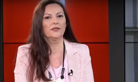 Елена Дариева: Голямата тема е промяната в Изборното законодателство и на състава на ЦИК - 1