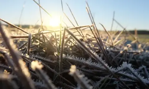 Времето днес, прогноза за вторник, 24 февруари: Облачно. От северозапад на югоизток на много места ще превали дъжд - 1
