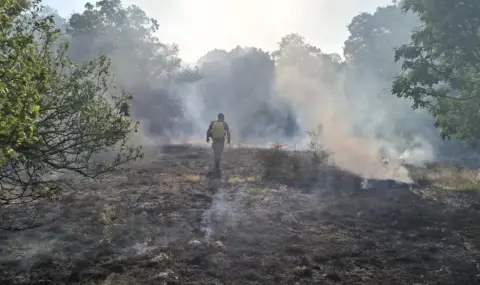 Военни участват в гасенето на пожара, засегнал учебен център „Сливница“ - 1
