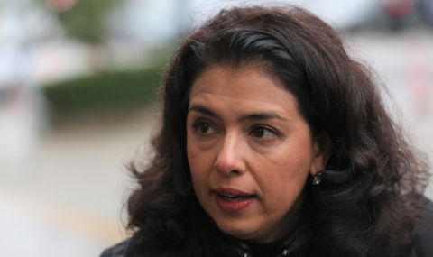 Ваня Григорова: ЕС основно трябва да преосмисли идеологическата си политика за свободния пазар на тока - 1