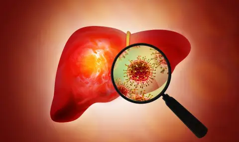 28 юли - Световен ден за борба с хепатита - 1