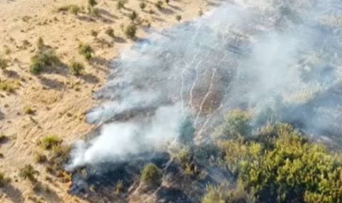 Големият пожар в Източните Родопи продължава да бушува, бедственото положение в Ивайловград остава - 1