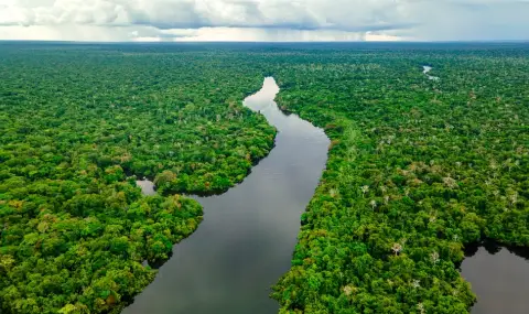 За 40 г. Амазония е загубила 52 милиона хектара от площта си - 1