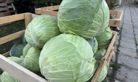 Цените на плодовете и зеленчуците остават високи - 1