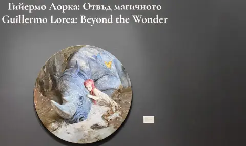 Опашка се изви пред „Двореца" в София в последния ден от изложбата на Гийермо Лорка (ВИДЕО) - 1