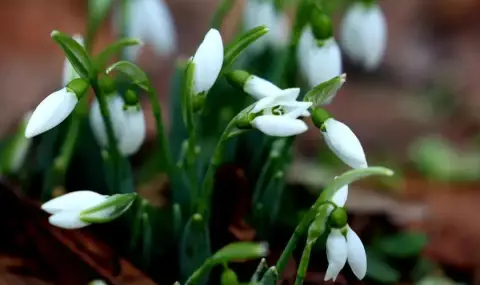 Времето днес, прогноза за вторник, 3 март: Значителна облачност до обяд - 1