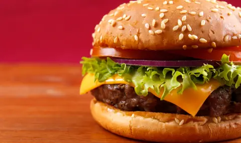 Как да се наслаждаваме на вкусен хамбургер, когато сме на диета - 1