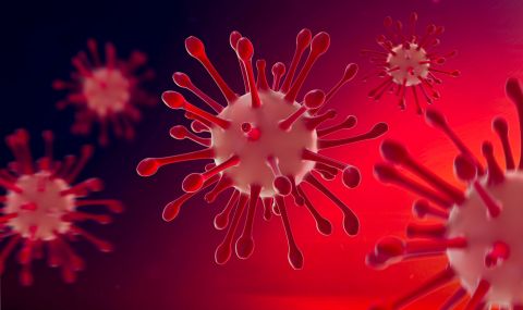 Новият щам на коронавируса: какво знаем до този момент? - 1