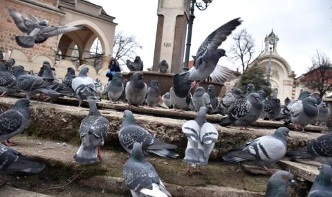 Прогноза за времето днес, 6 март: Слънчево, променлива облачност в планините, почти без валежи - 1