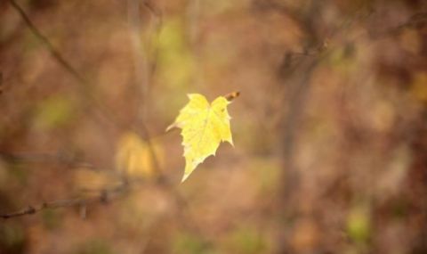 Времето остава топло - 1