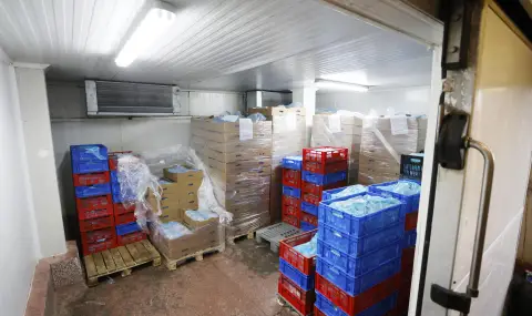 Откриха над 70 тона месо с неясен произход в складове в София - 1