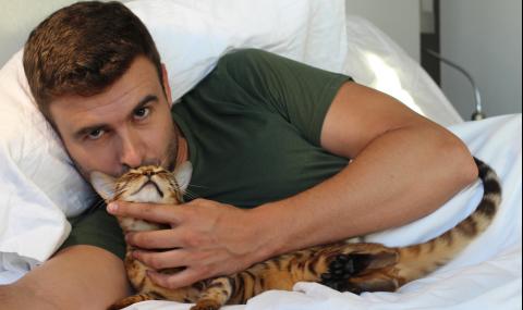 Мъжете, снимали се с котки, нямат шансове в сайтовете за запознанства - 1