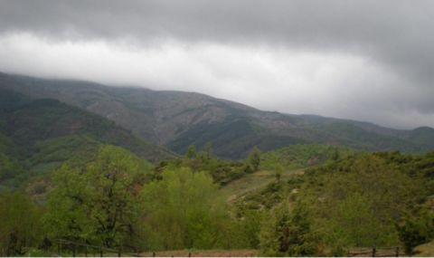 Дъждовен следобед - 1