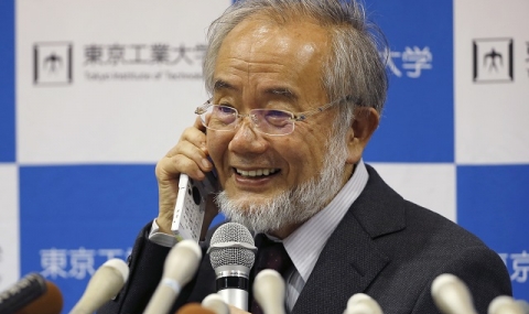 Японец получи Нобеловата награда за физиология и медицина - 1