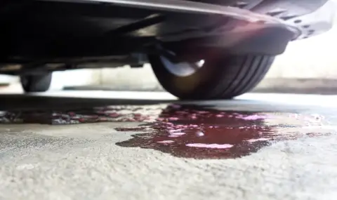 Warning: Sweet smell in the car - a signal of a dangerous problem!  - 1