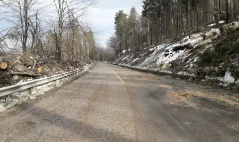 На прохода “Петрохан” температурата е -4 градуса. Пътното платно е чисто до асфалт