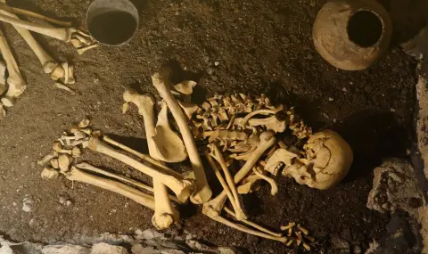 Археолози откриха сцена на брутално масово убийство в Сърбия от Желязната епоха - 1