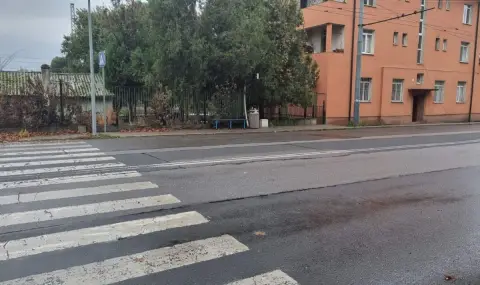 Бой на пешеходна пътека в центъра на София - 1