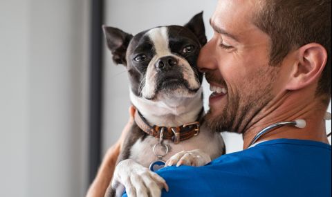 5 признака, че домашният любимец се нуждае от ветеринар - 1