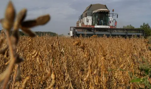 Тръмп призовава Китай да учетвори покупките на соя от САЩ  - 1