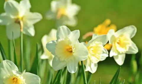 Weather today, forecast for Friday, April 24: Sunny but windy  - 1