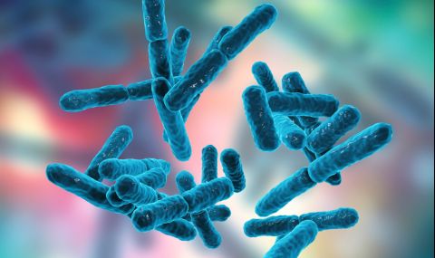 Ново научно изследване показва как бактериите се връщат към живота - 1