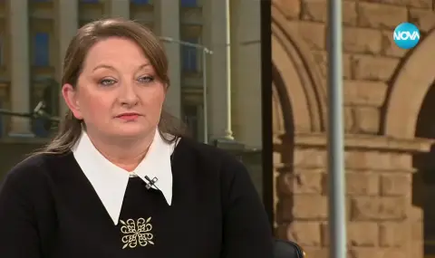 Sacheva: The blame for the garbage crisis lies with one person - Mayor Vasil Terziev  - 1