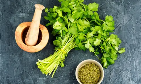 Изследване: Евтина подправка намалява вредния холестерол и високото кръвно налягане  - 1