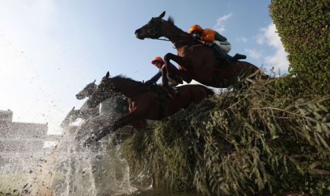 Кошмарна трагедия: Три коня умряха и стотици арестувани на конна надпревара в Англия - 1