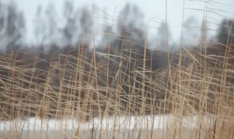 Времето днес, прогноза за понеделник, 29 декември: Слънчев следобед с опасни пориви на вятъра в цялата страна
