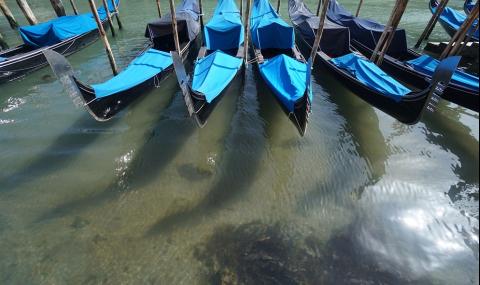 Огромна медуза се появи в каналите на Венеция (ВИДЕО) - 1