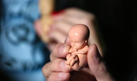 Над 5300 аборта в България за три месеца - 1