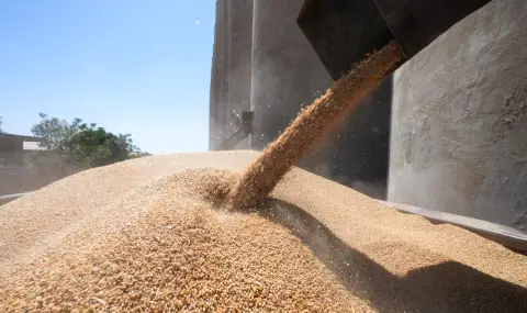 The tariff war between the US and China has devalued the price of wheat to 2020 levels  - 1