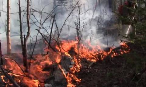 7000 пожарникари се борят с огъня в Сибир - 1