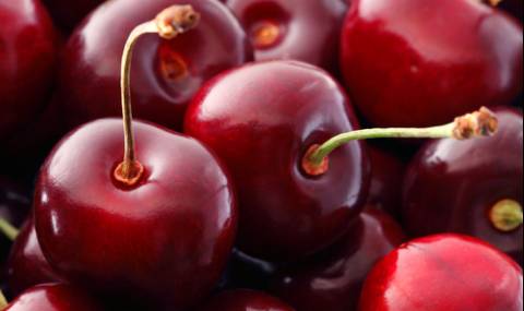 Ще има ли български череши след студа и сланите - 1