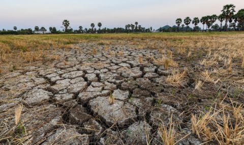 Испания взе спешни мерки за борба със сушата - 1