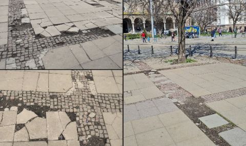 "Спаси София" посади цветя в центъра на София, на мястото на липсващи тротоарни плочки - 1