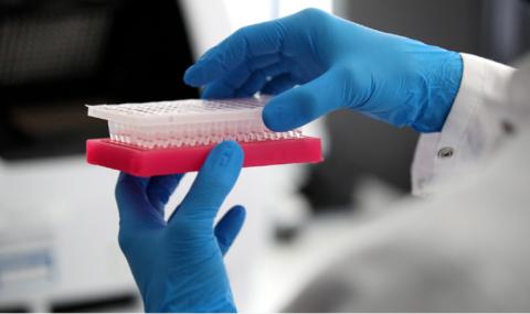 София, Пловдив и Варна с най-много заразени за денонощието - 1