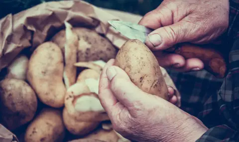 114-годишна жена твърди, че картофите са храната, която е причина за дълголетието й - 1