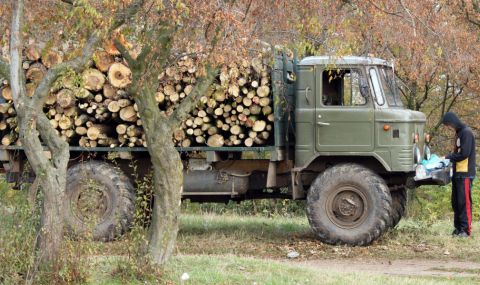 БСП: Управляващите предлагат изсичането на 3 млн. и 700 хил. декара български гори - 1