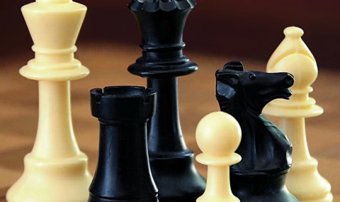 Спортното ведомство обезпокоено от проблемите в шаха - 1